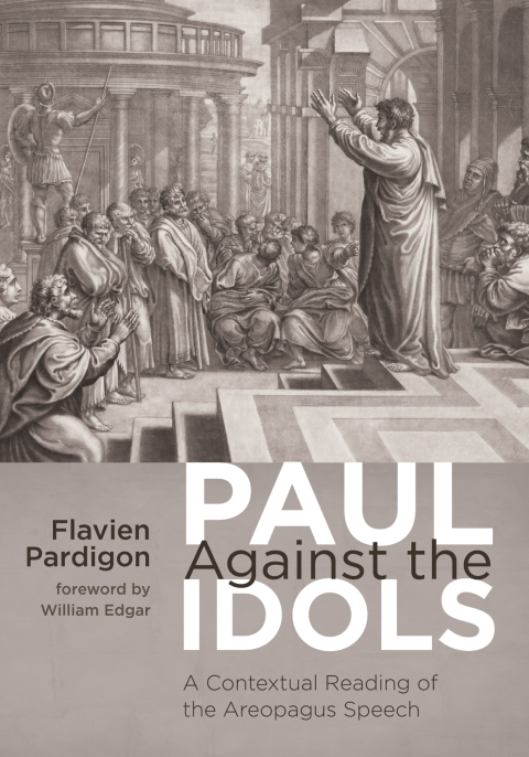 Cover image for book Paul Against the Idols