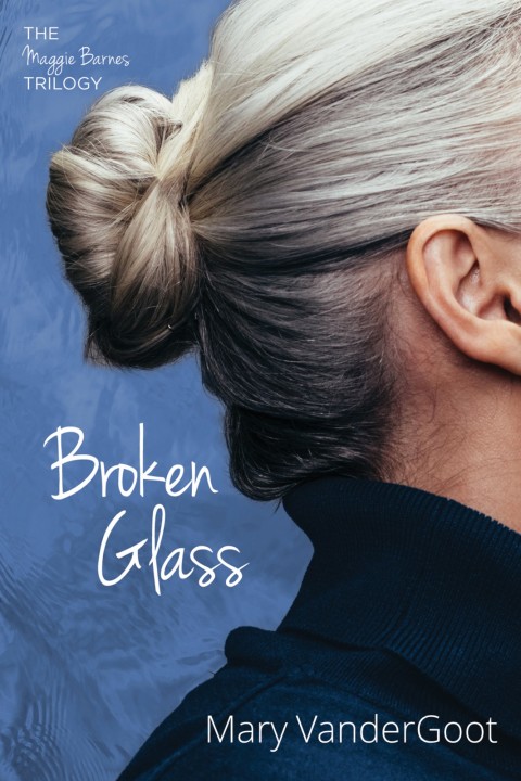 Cover image for book Broken Glass