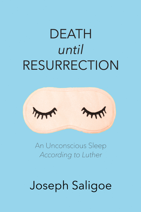 Cover image for book Death until Resurrection