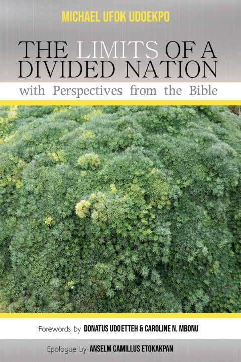 Cover image for book The Limits of a Divided Nation with Perspectives from the Bible
