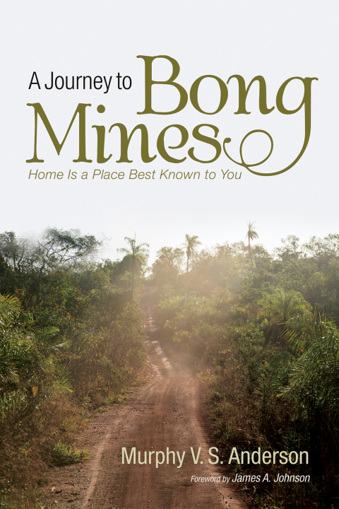 Cover image for book A Journey to Bong Mines