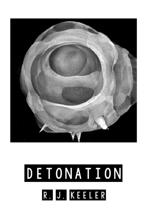 Cover image for book Detonation