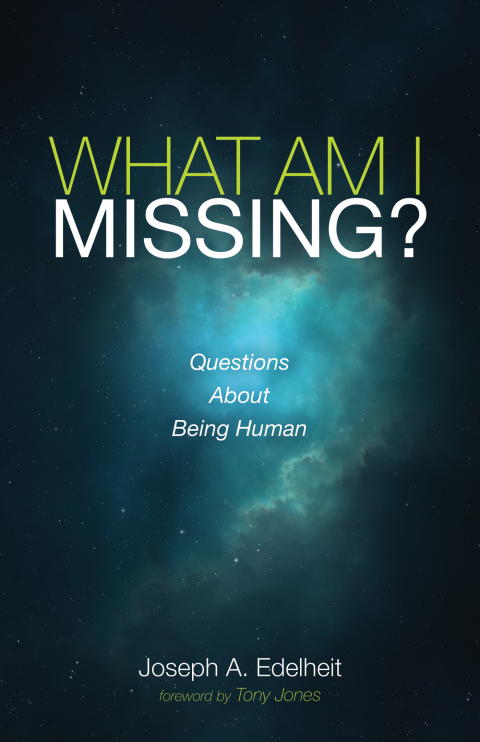 Cover image for book What Am I Missing?
