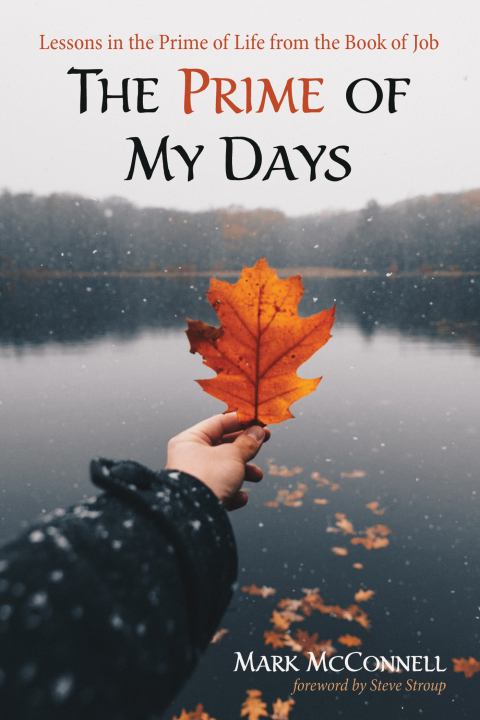 Cover image for book The Prime of My Days