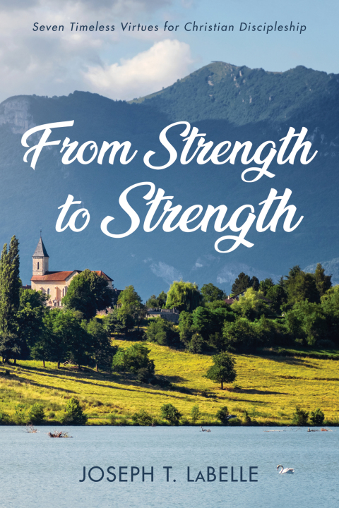Cover image for book From Strength to Strength