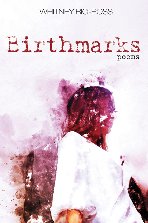 Cover image for book Birthmarks
