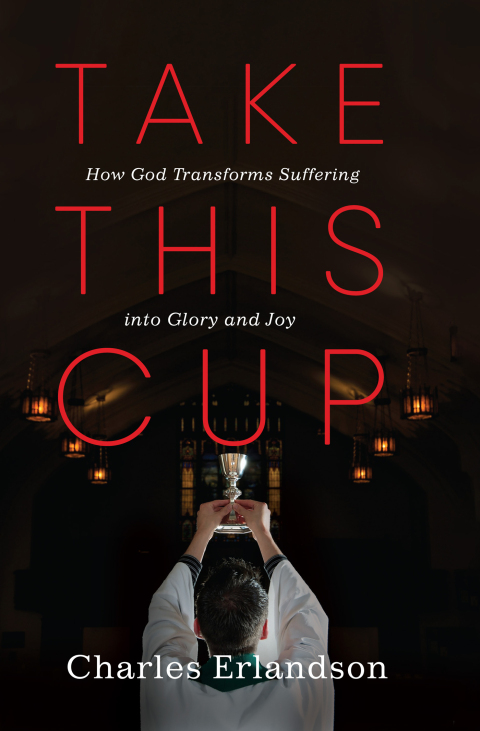 Cover image for book Take This Cup