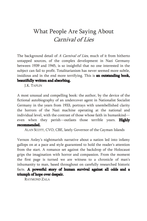 Cover image for book A Carnival of Lies