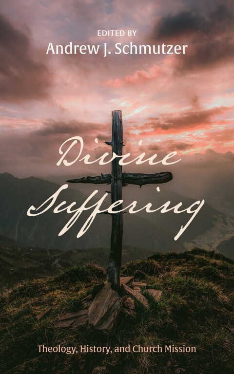 Cover image for book Divine Suffering
