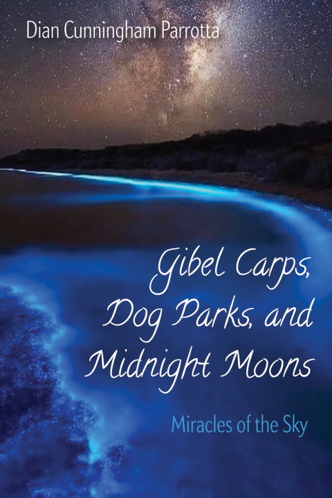 Cover image for book Gibel Carps, Dog Parks, and Midnight Moons