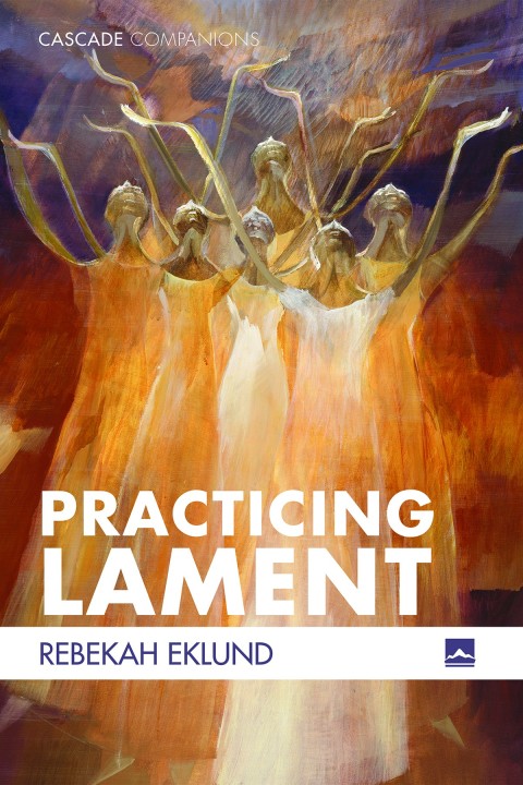 Cover image for book Practicing Lament