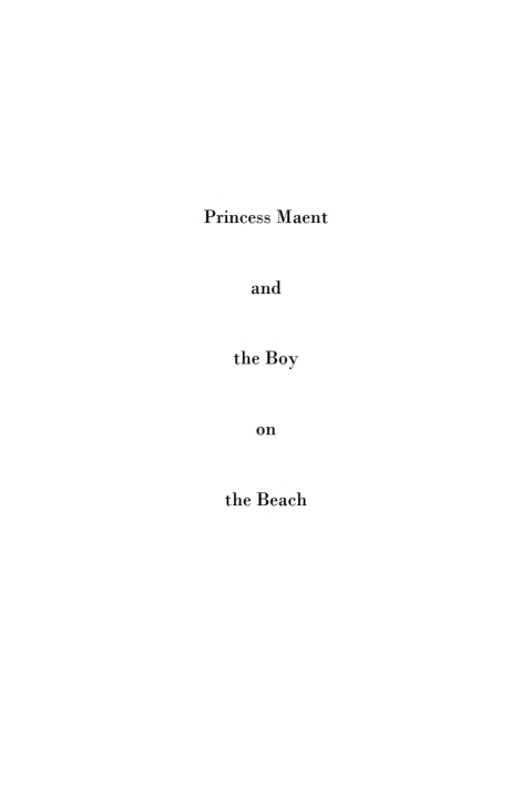Cover image for book Princess Maent and the Boy on the Beach