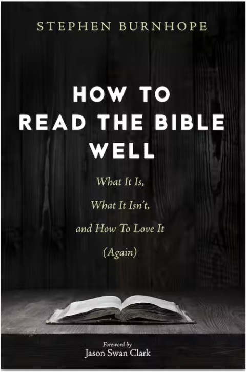 Cover image for book How to Read the Bible Well