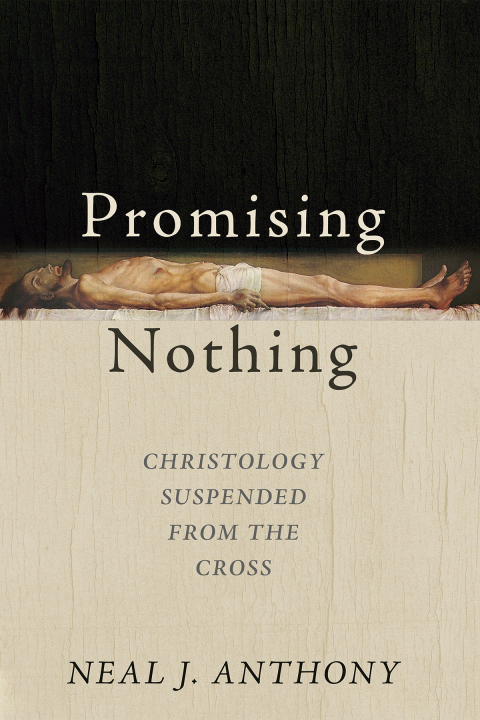 Cover image for book Promising Nothing