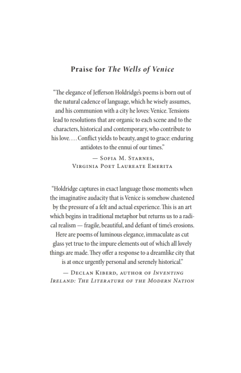 Cover image for book The Wells of Venice