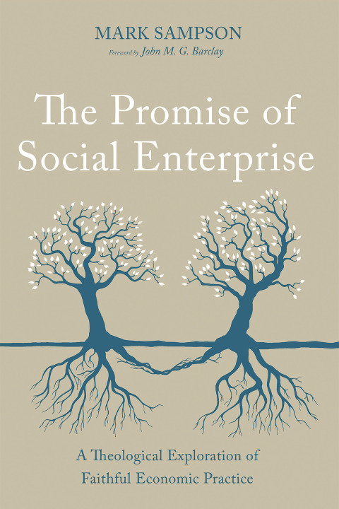 Cover image for book The Promise of Social Enterprise