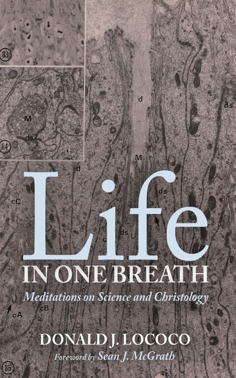 Cover image for book Life in One Breath