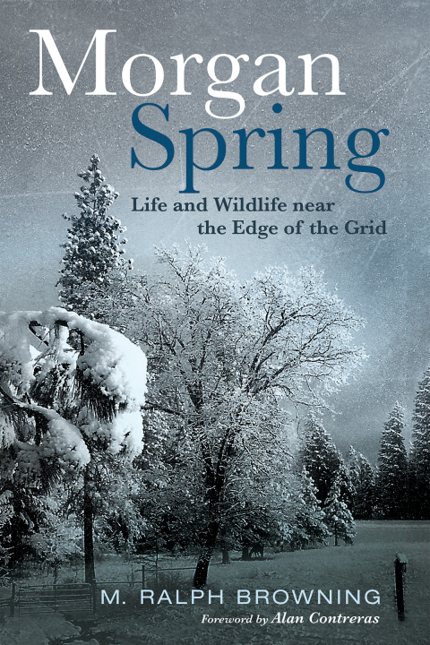 Cover image for book Morgan Spring