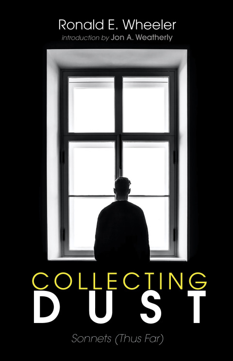 Cover image for book Collecting Dust
