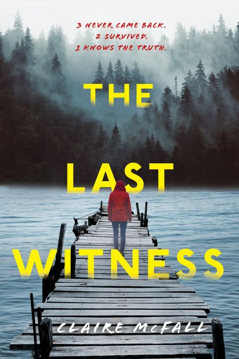 Cover image for book The Last Witness