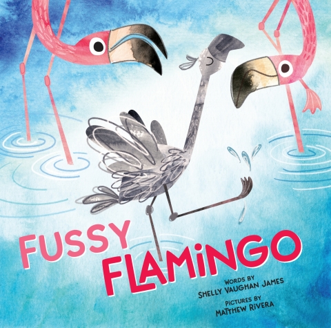 Cover image for book Fussy Flamingo