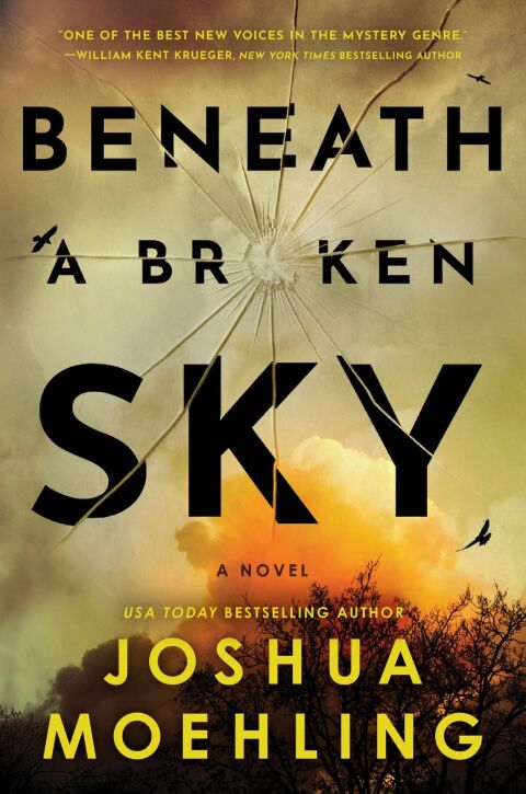Cover image for book Beneath a Broken Sky