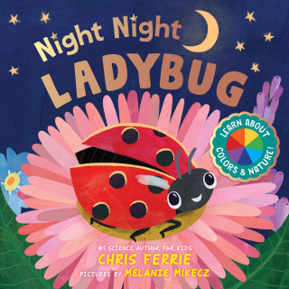 Night Night Ladybug