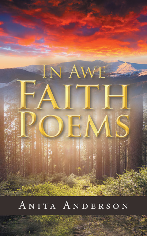 Cover image for book In Awe