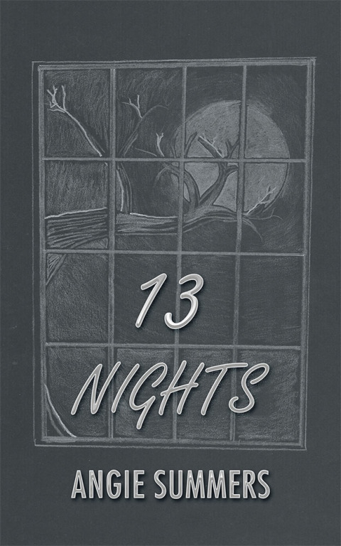 Cover image for book 13 Nights