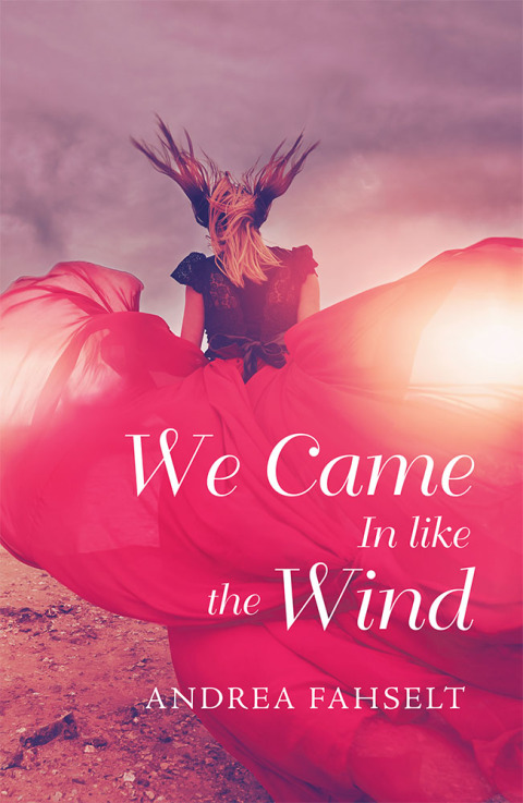 Cover image for book We Came in Like the Wind