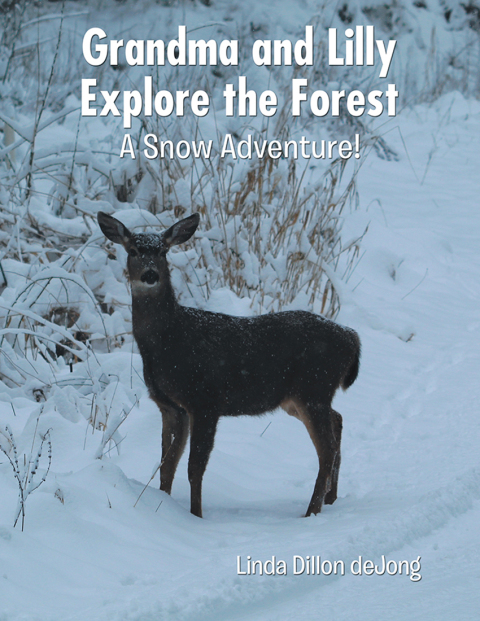 Cover image for book Grandma and Lilly Explore the Forest