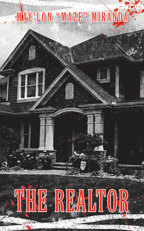Cover image for book The Realtor