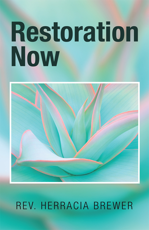 Cover image for book Restoration Now