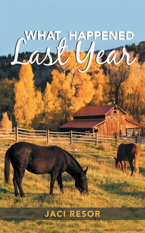 Cover image for book What Happened Last Year
