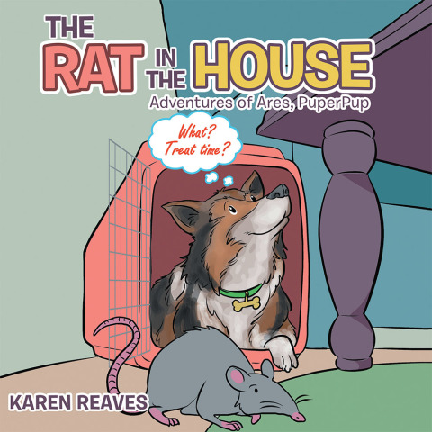 Cover image for book The Rat in the House