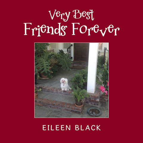 Cover image for book Very Best Friends Forever