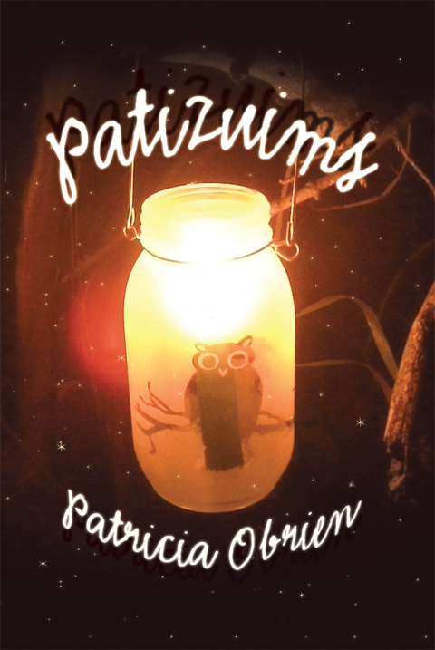 Cover image for book Patizuims