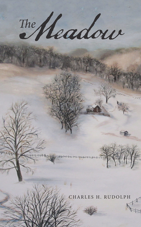 Cover image for book The Meadow