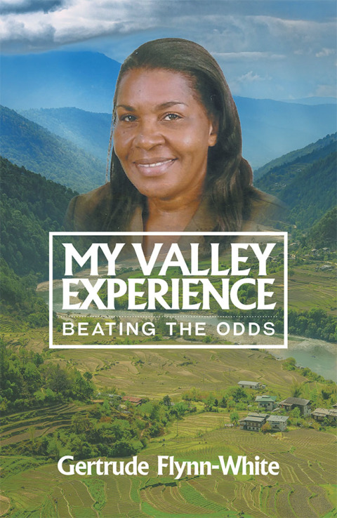 Cover image for book My Valley Experience
