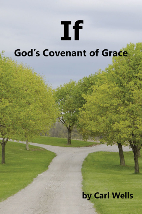 Cover image for book If