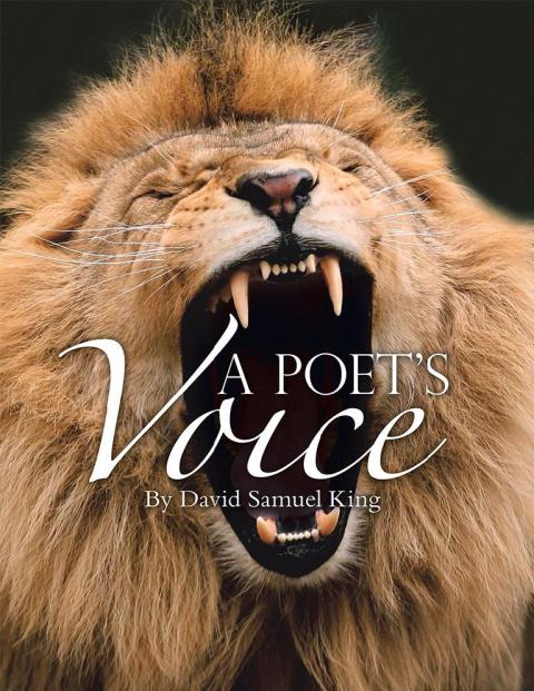 Cover image for book A Poet’s Voice