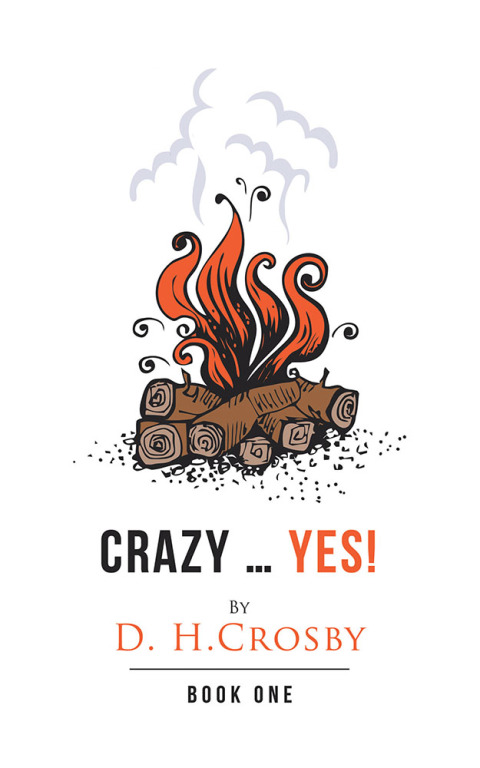 Cover image for book Crazy … Yes!
