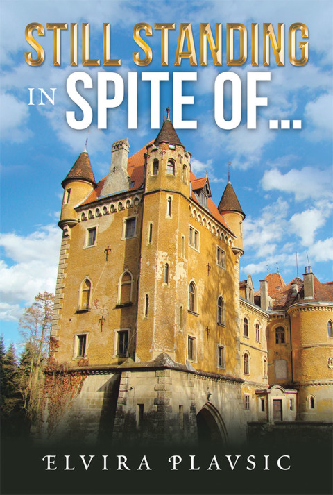 Cover image for book Still Standing in Spite Of…