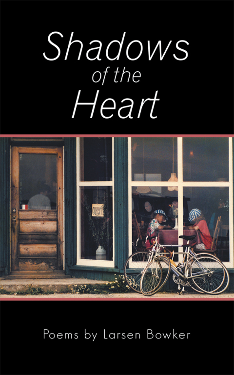 Cover image for book Shadows of the Heart