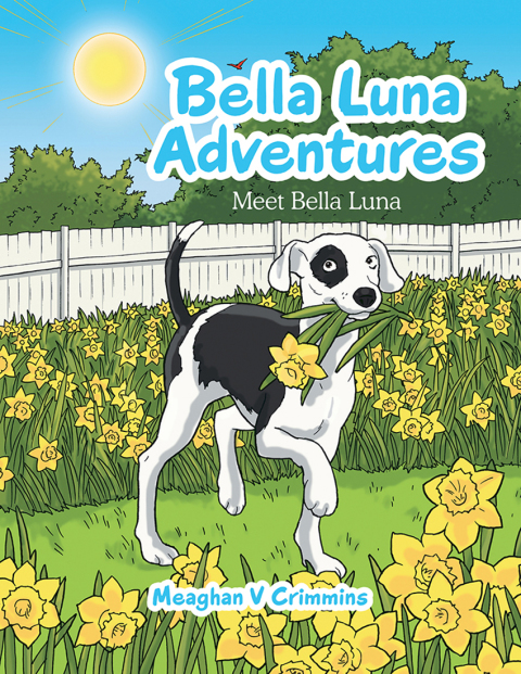 Cover image for book Bella Luna Adventures