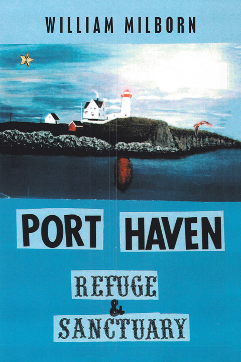 Cover image for book Port Haven