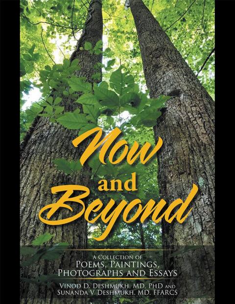 Cover image for book Now and Beyond