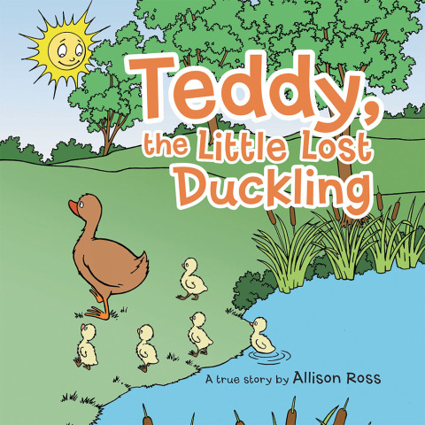 Cover image for book Teddy, the Little Lost Duckling