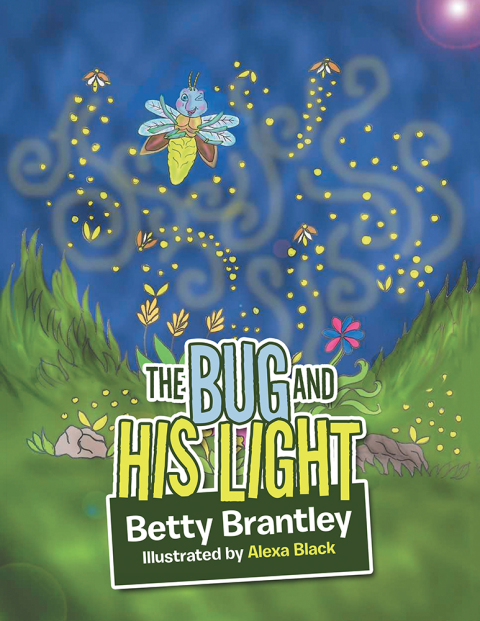 Cover image for book The Bug and His Light