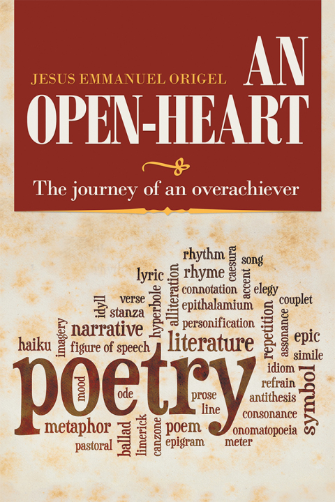 Cover image for book An Open-Heart